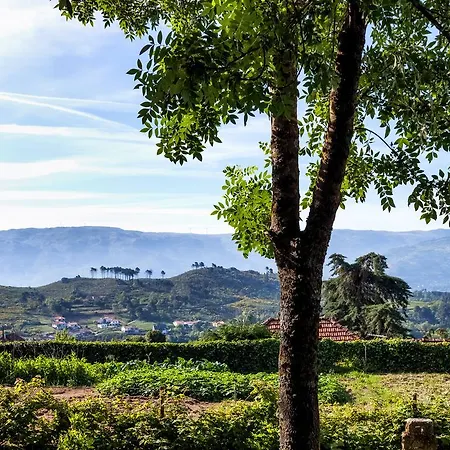 Konukevi Quinta De Marnotos