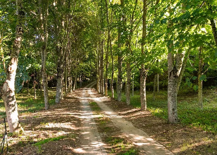 Quinta De Marnotos Πανσιόν